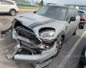 დაშლილები