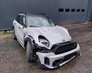 დაშლილები