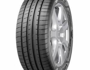 ზამთრის საბურავი 225/55R19