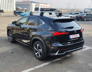 R18 LEXUS NX 300 2014-2022 - 1