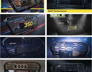 Audi  Grills
