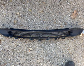 ცხაურა (აბლიცოვკა)