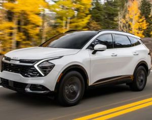 იშლება სპორტიჯები