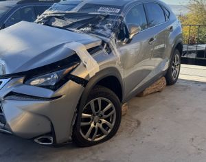 იშლება  ჰიბრიდი