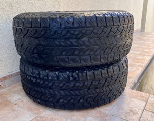 2 ცალი 265/65/R17 M+S