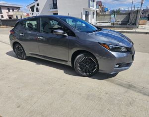 ⚡ პროფესიონალური დიაგნოსტიკა Nissan Leaf