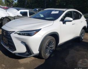 Lexus nx 300 350 2022-25