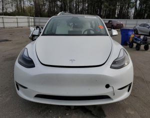 Tesla y