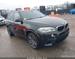 ISHLEBA    BMW F85 M  2017
