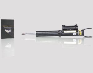 Ამორტიზატორი Mercedes S-Class (W222, C217)