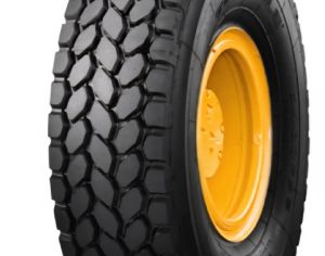 R25  445/95 ყველა სეზონი