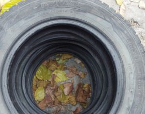 R14  165/70 ზამთარი