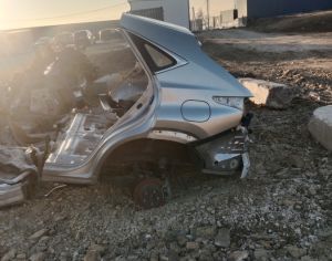 დაშლილები