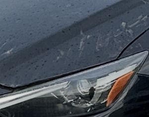 გრანდ ტურინგის მარჯვენა ფარი