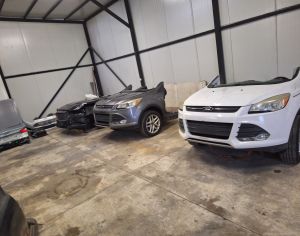 ფორდ ესკაპე ფორდ ფიუჟენი