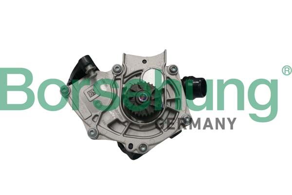 წყლის ტუმბო (პომპა) Borsehung B11209